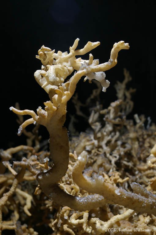 the formation that time built 